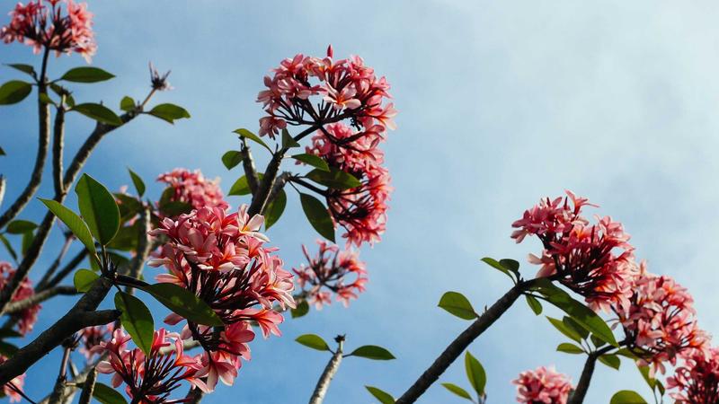 Bernardo Silva chính thức thông báo rời Manchester City: Barca là ưu tiên hàng đầu