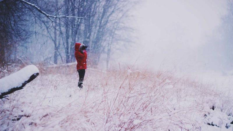 Liverpool vs PSG Lượt Về: Dữ Liệu xG, Thống Kê Và Những Con Số Đáng Chú Ý