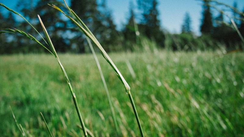 U23 Việt Nam khép lại giải giao hữu CFA Team China 2026: Bài học đắt giá hướng tới SEA Games